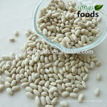 types of white kidney beans spanish type